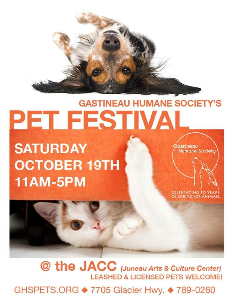 Pet Fest